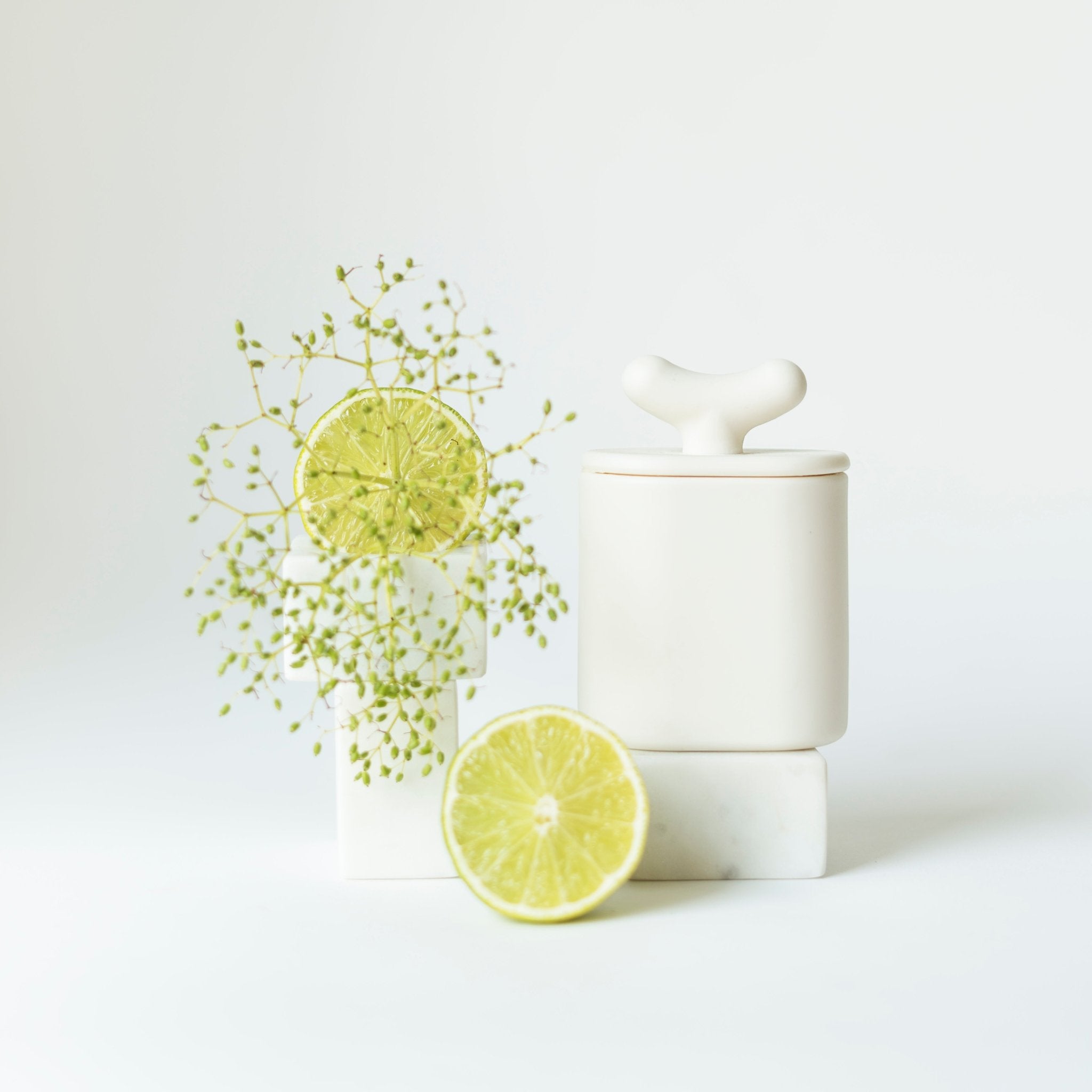 Akebia - pojemnik z porcelany Parian