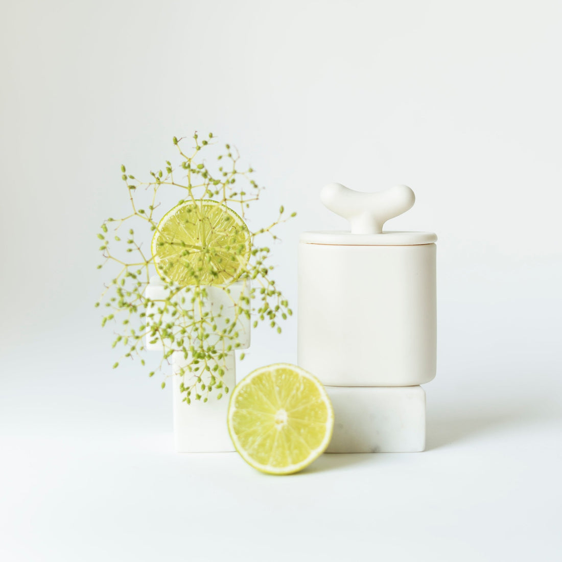 Akebia - pojemnik z porcelany Parian