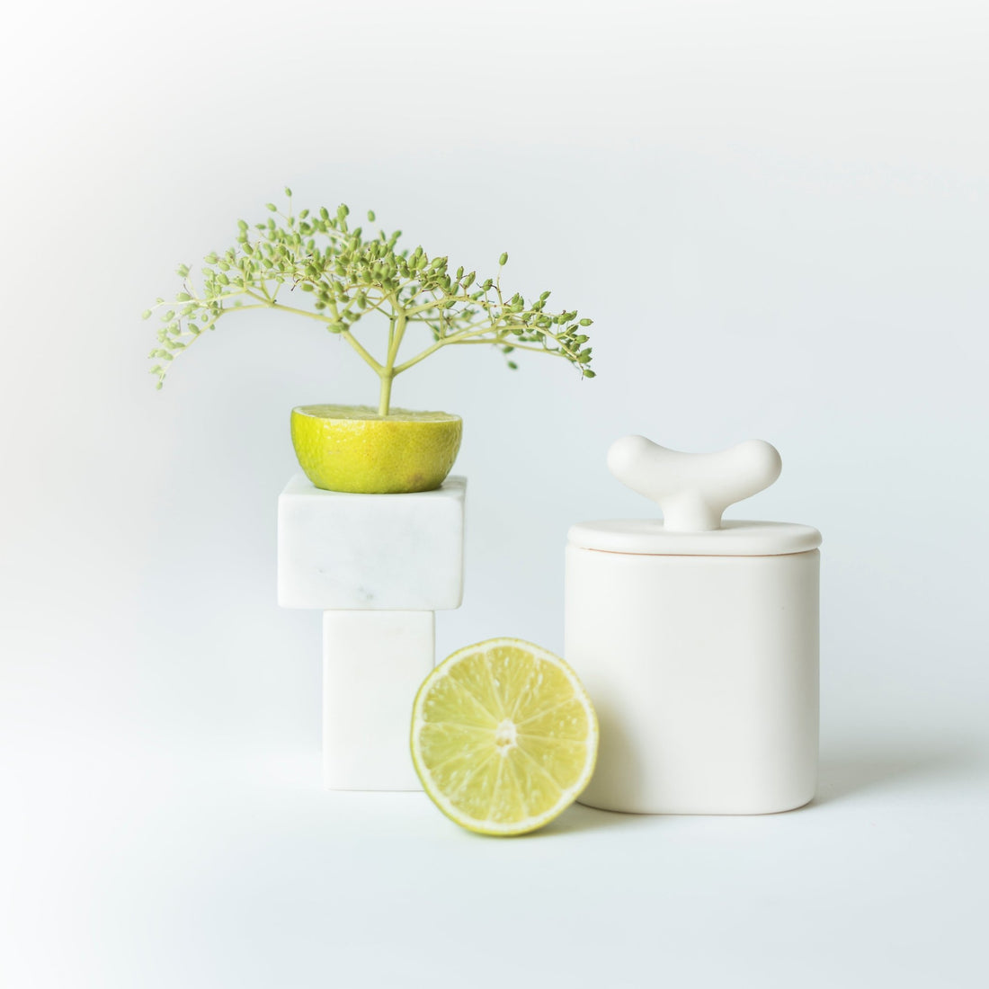 Akebia – świeca sojowa z porcelany Parian