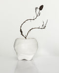 Canyon Parian – czarka do kawy z porcelany Parian