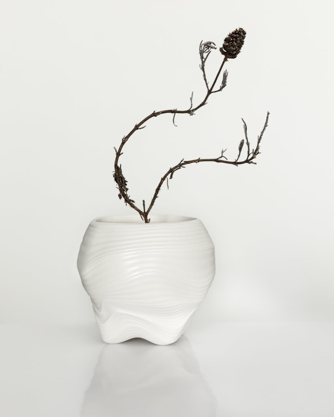 Canyon Parian – czarka do kawy z porcelany Parian
